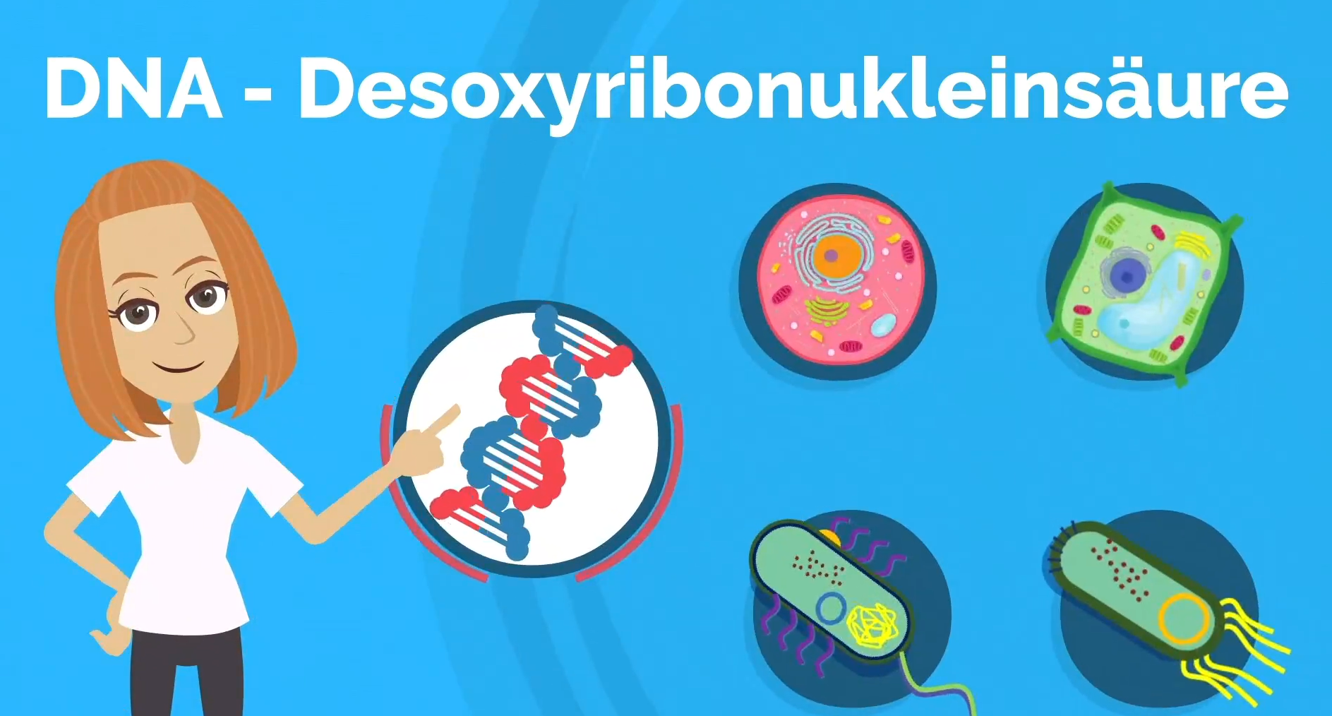 Erklärvideo: DNA – Desoxyribonukleinsäure