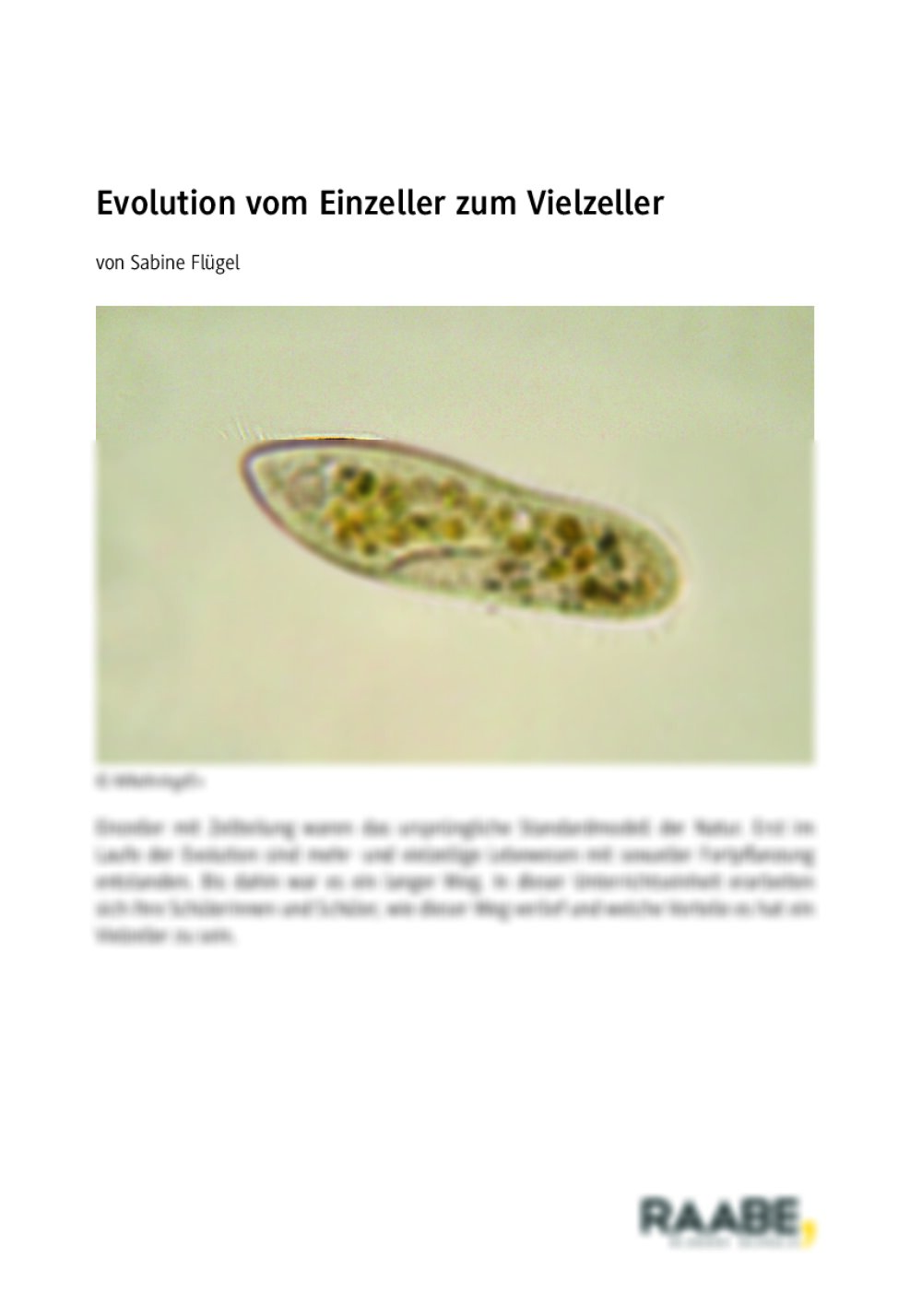 Evolution vom Einzeller zum Vielzeller - Seite 1