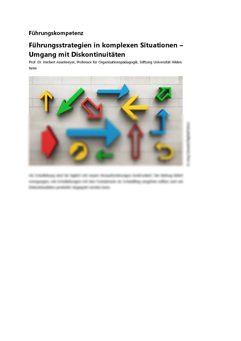 Führungsstrategien in komplexen Situationen – Umgang mit Diskontinuitäten - Seite 1