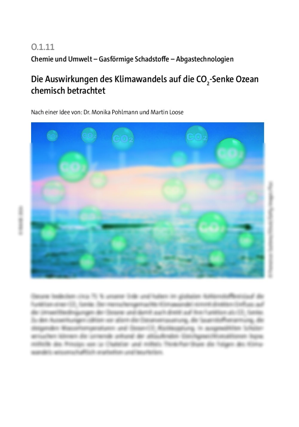 Die Auswirkungen des Klimawandels auf die CO2-Senke Ozean chemisch betrachtet - Seite 1