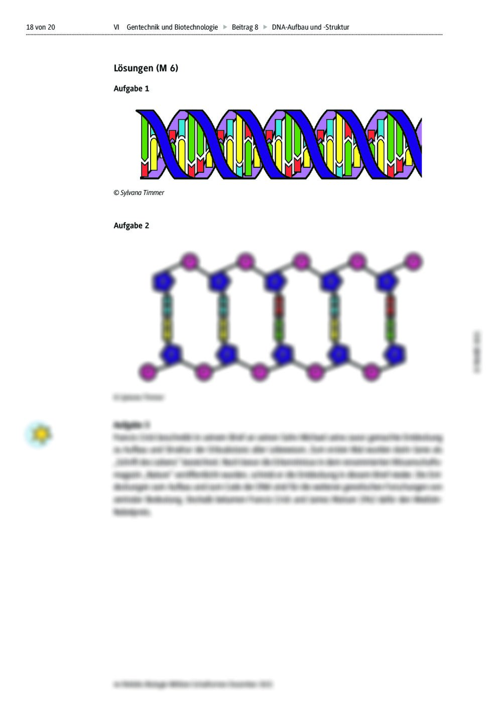 DNA-Aufbau Und -Struktur | RAAbits Online