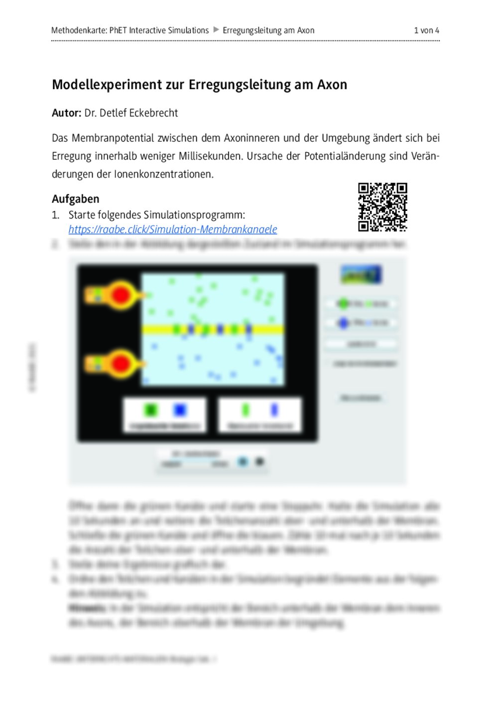 Modellexperiment zur Erregungsleitung am Axon - Seite 1