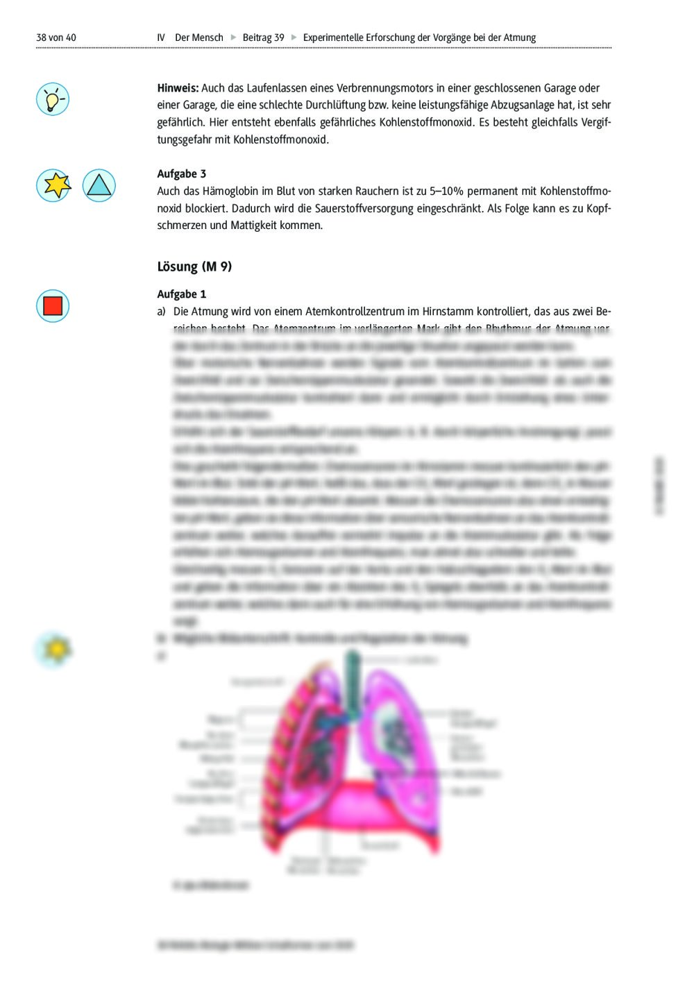 experiment atmung grundschule