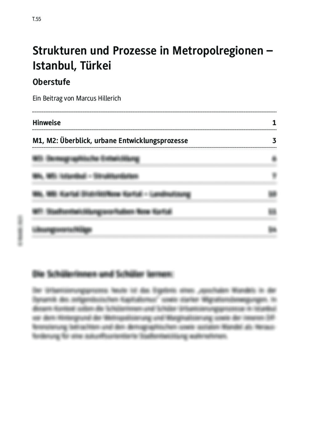 Strukturen Und Prozesse In Metropolregionen | RAAbits Online