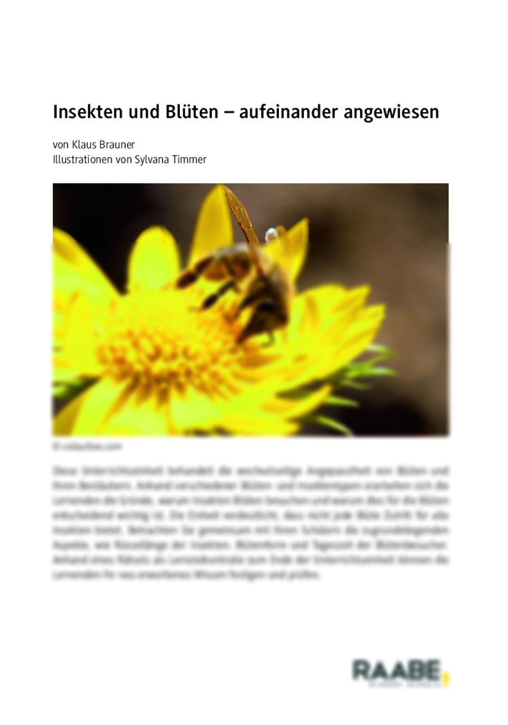 Insekten und Blüten - Seite 1