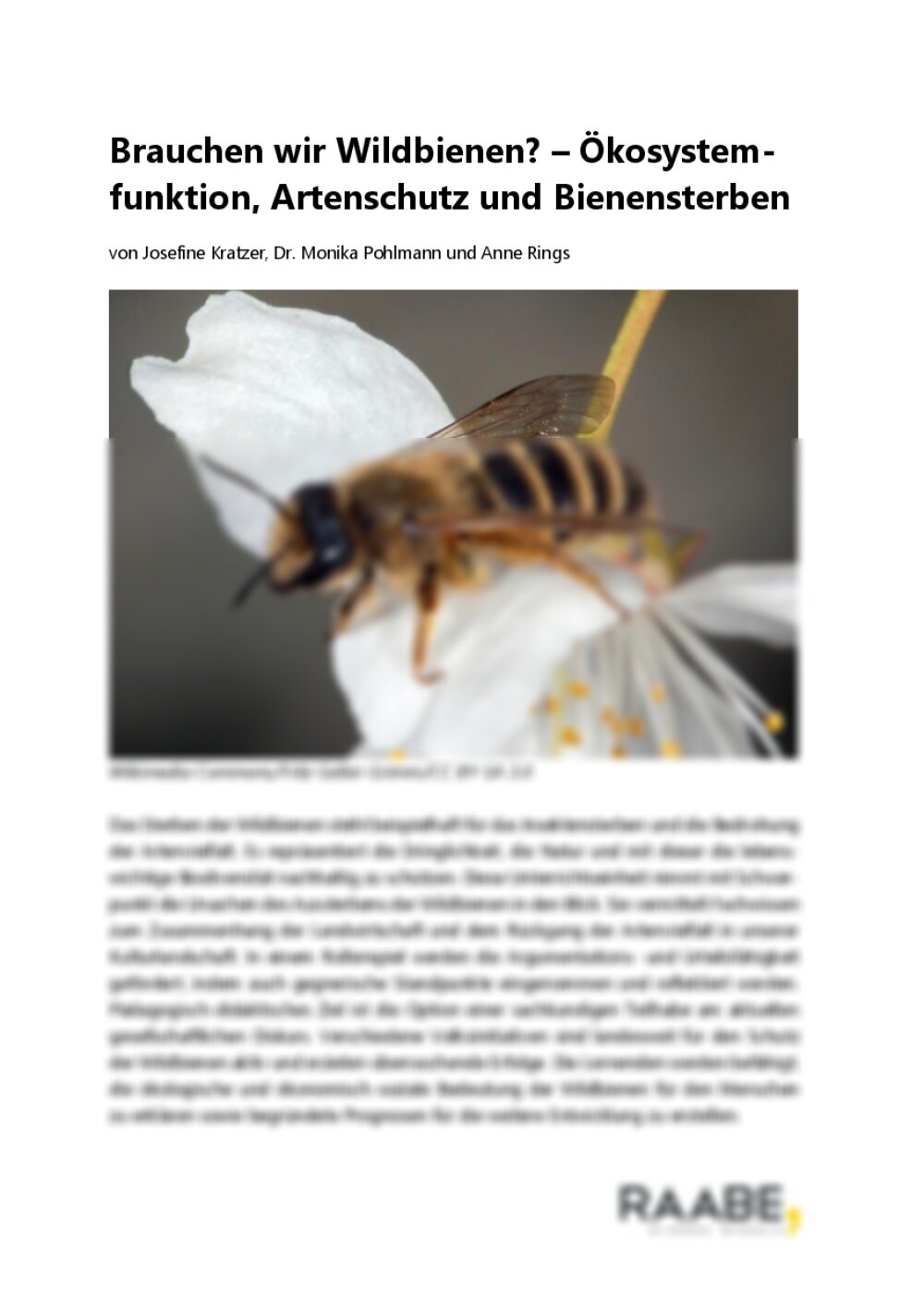 Brauchen wir Wildbienen? - Seite 1