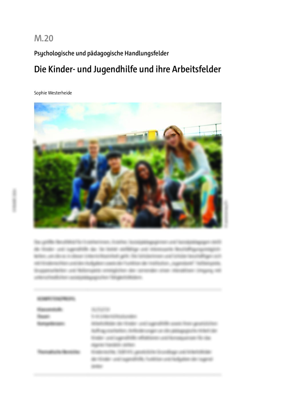 Die Kinder- und Jugendhilfe und ihre Arbeitsfelder - Seite 1