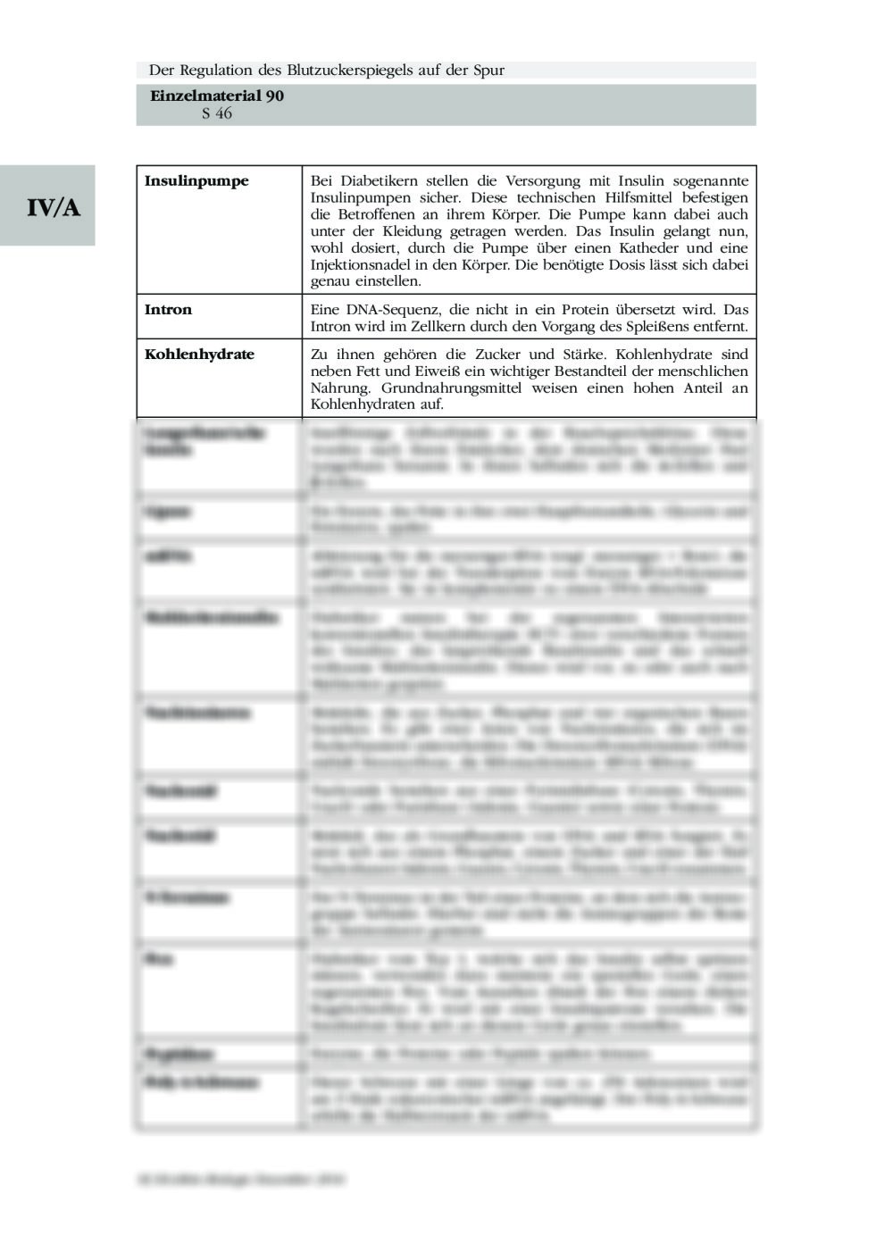 Die Regulation Des Blutzuckerspiegels | RAAbits Online