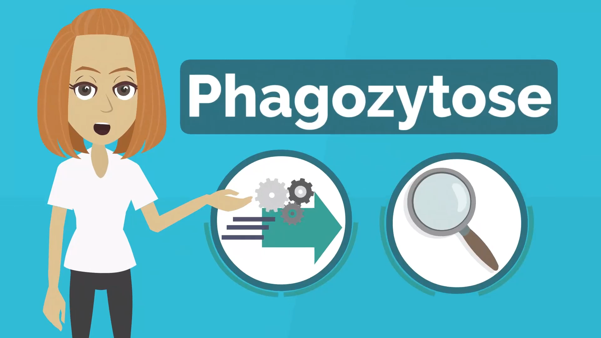 Erklärvideo: Grundlagen der Phagozytose