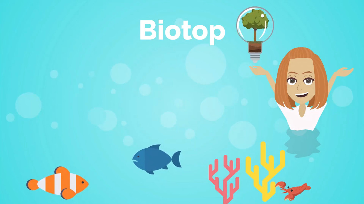 Erklärvideo: Biotop