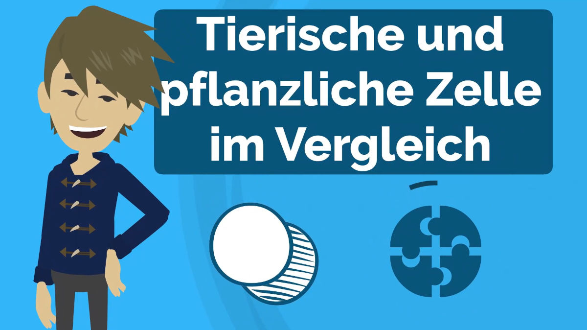 Erklärvideo: Tierische und pflanzliche Zelle im Vergleich