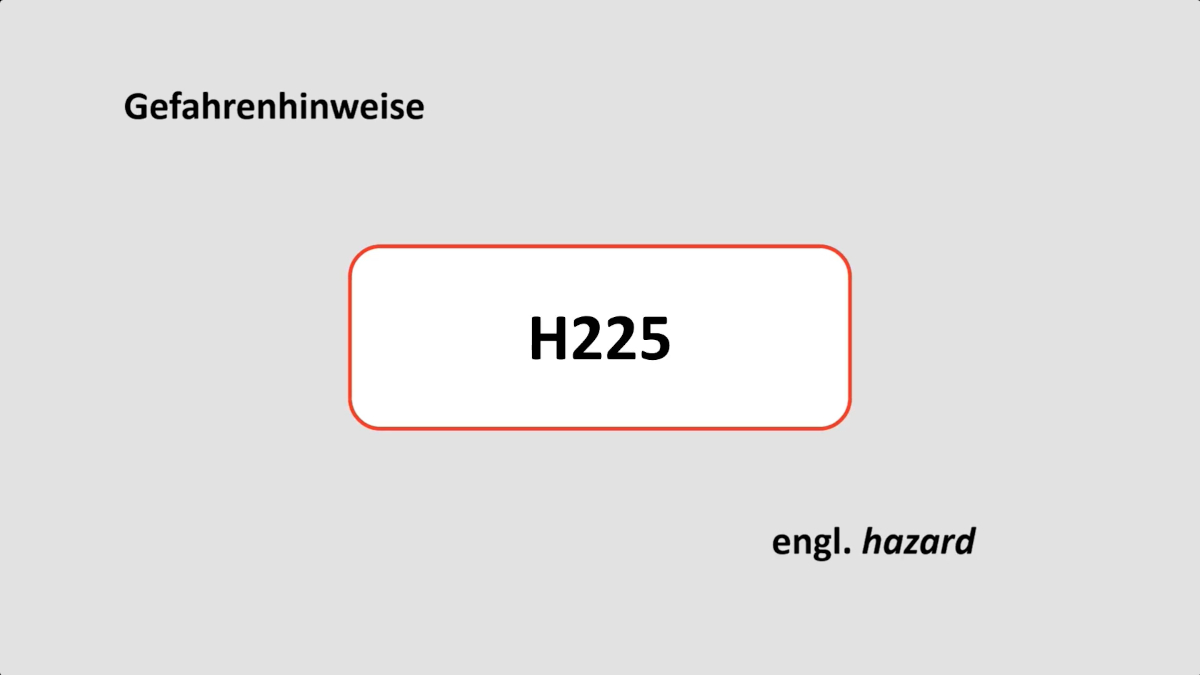 Vorschau interaktiver Inhalt