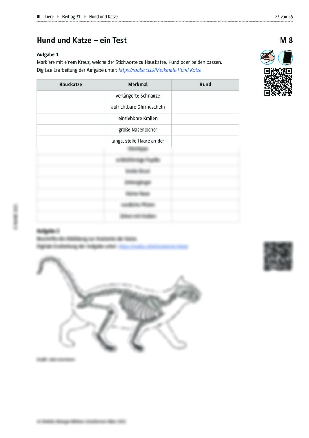 Hund und Katze – Körperbau, Verhalten und verantwortungsvolle