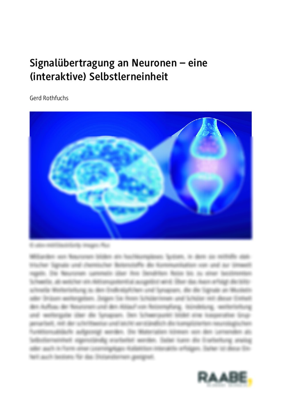 Signalübertragung an Neuronen - Seite 1