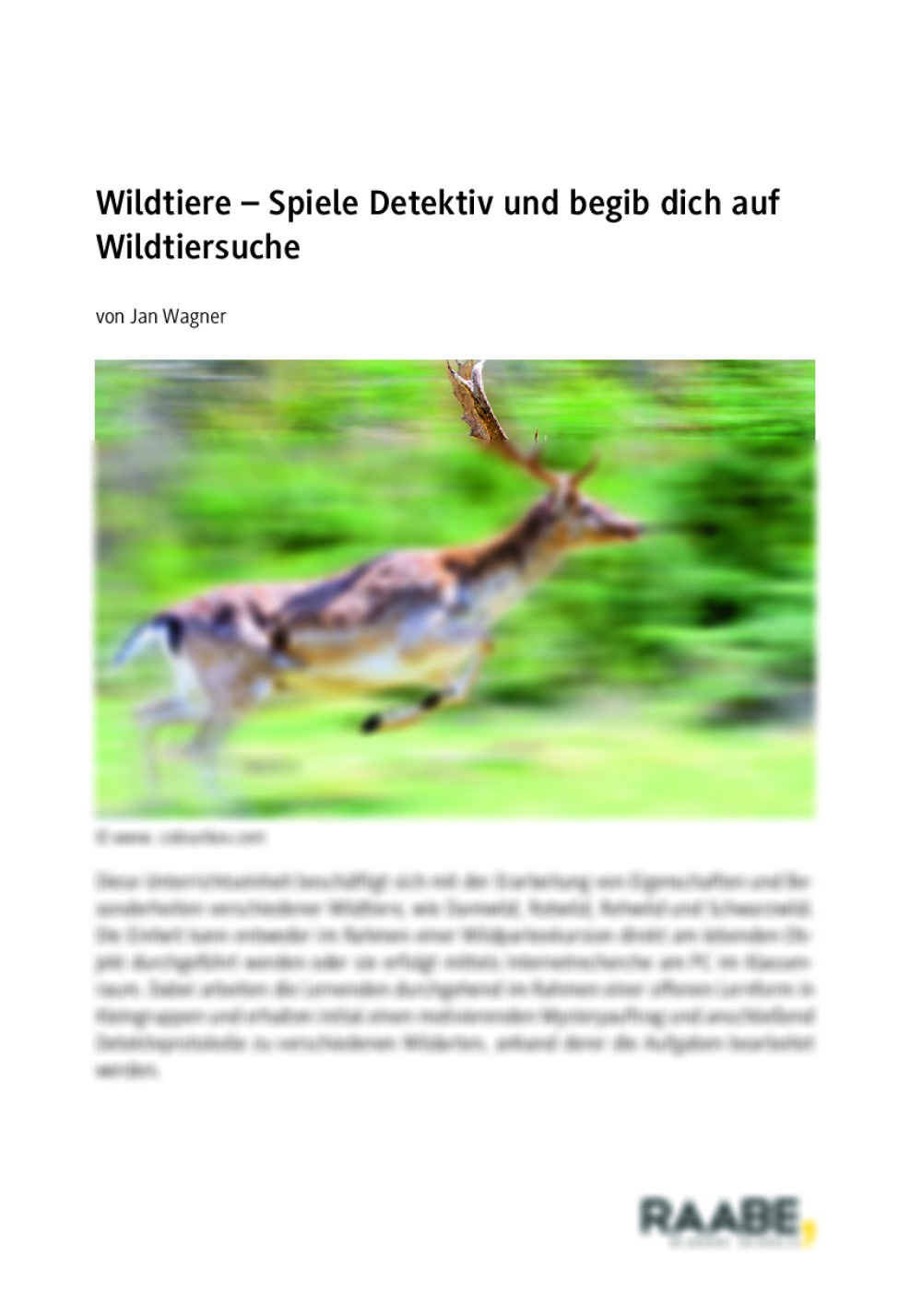 Wildtiere - Seite 1