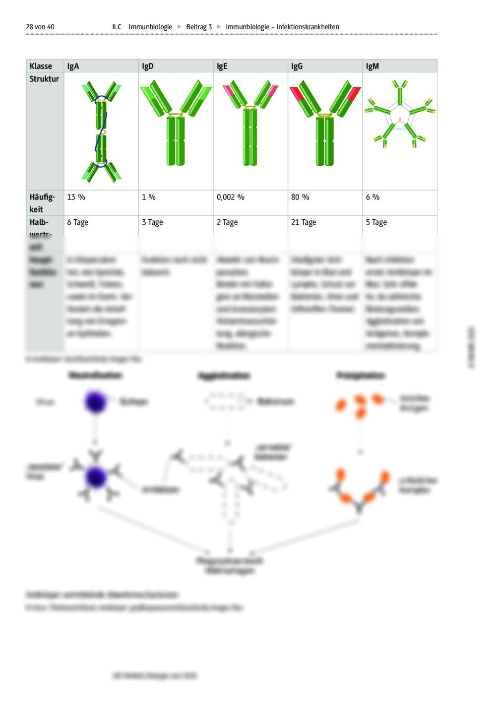 Immunbiologie | RAAbits Online