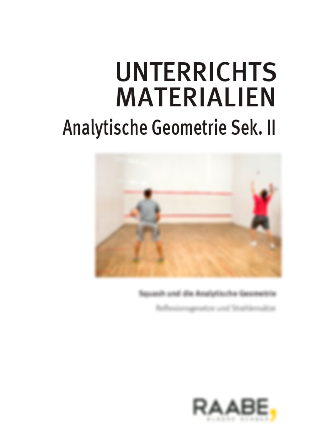 Squash und die Analytische Geometrie - Seite 1